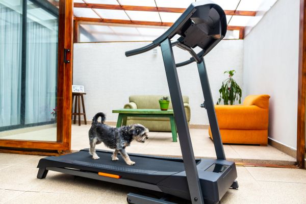 Treadmill Installation in Cocoa