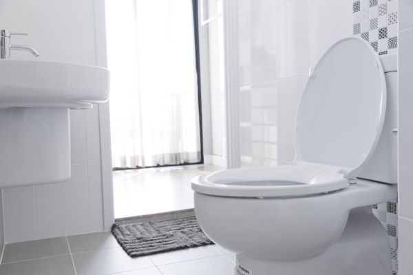 Toilet Seat Installation in Cocoa