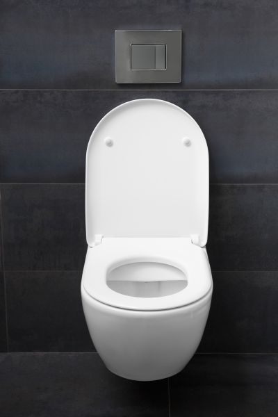 Toilet Lid Installation in Cocoa