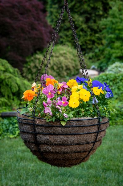 Hanging Basket Installation in Cocoa