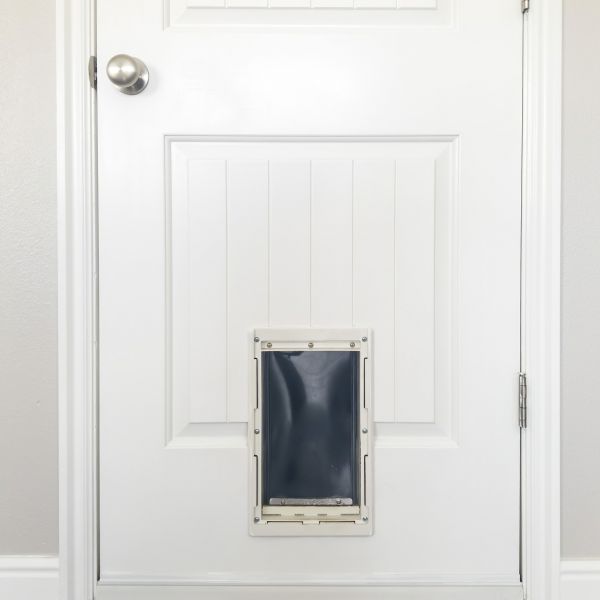 Pet Door Repair in Cocoa