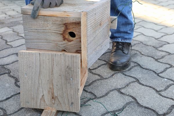 Birdhouse Mounting in Cocoa