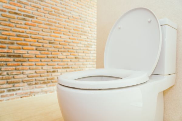 Toilet Seat Repair in Cocoa